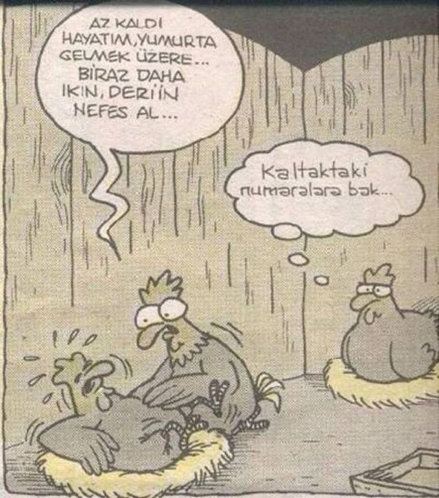 Karikatur000204