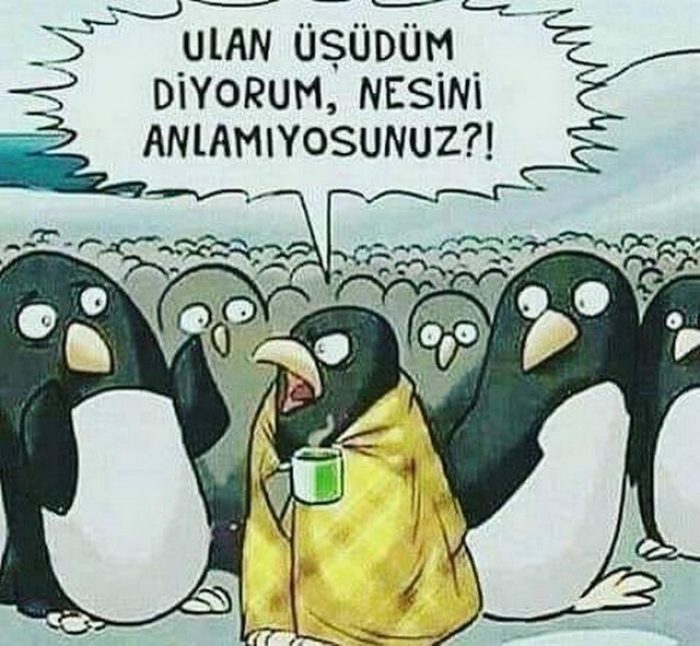 Karikatur000327