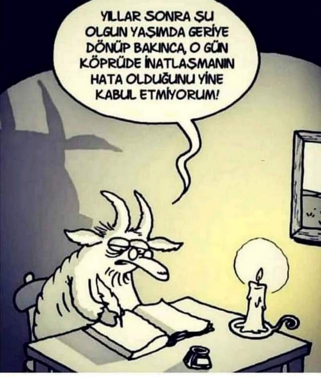 Karikatur000339