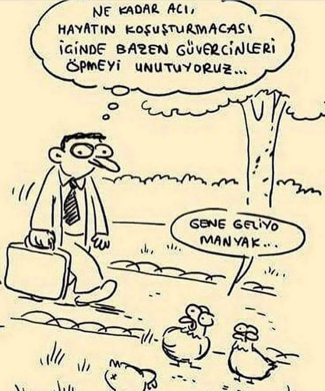 Karikatur000546