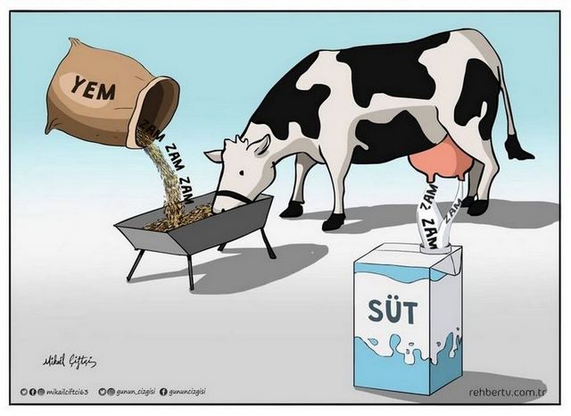 Karikatur000619