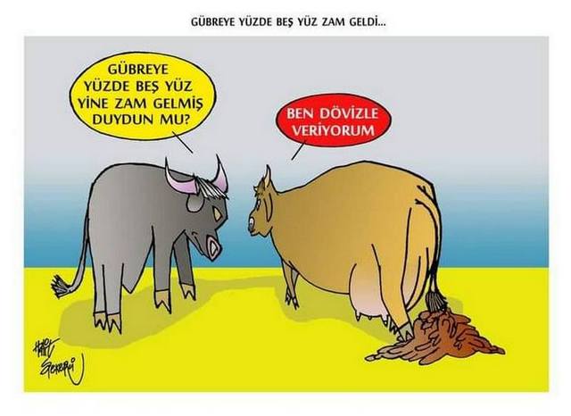 Karikatur000620