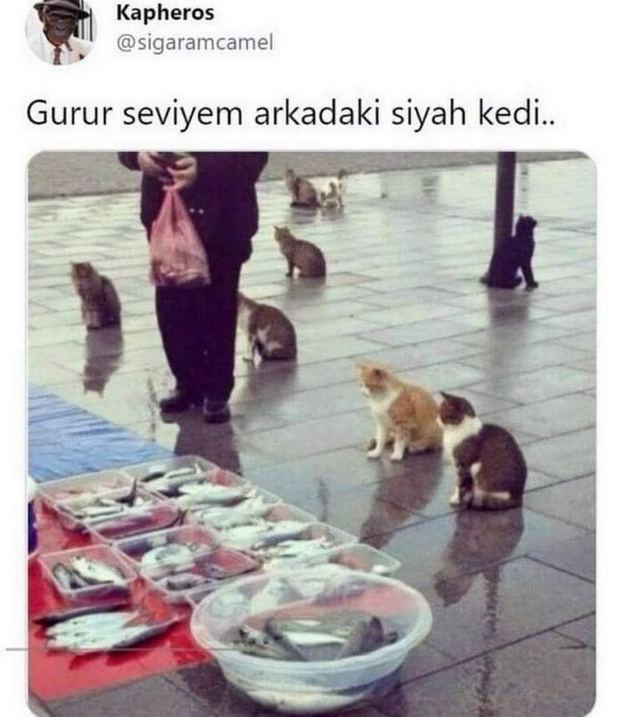 Karikatur000858