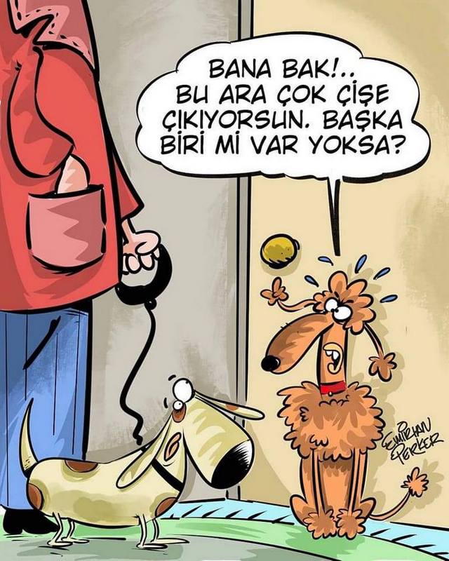Karikatur000866