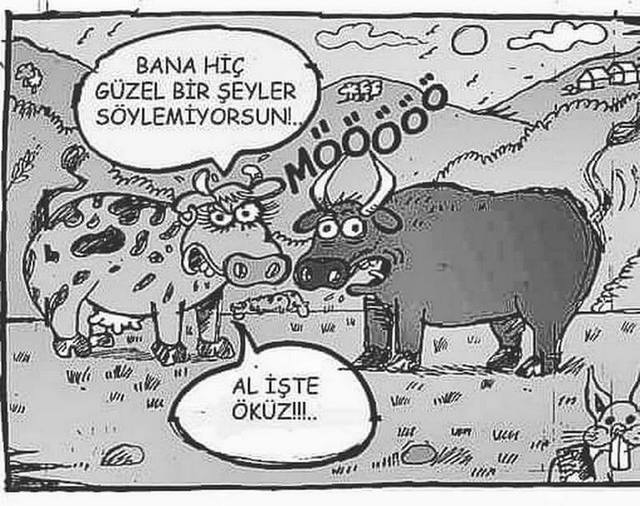 Karikatur000878