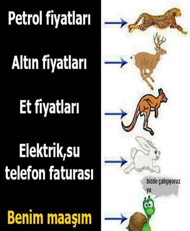 Karikatur000989