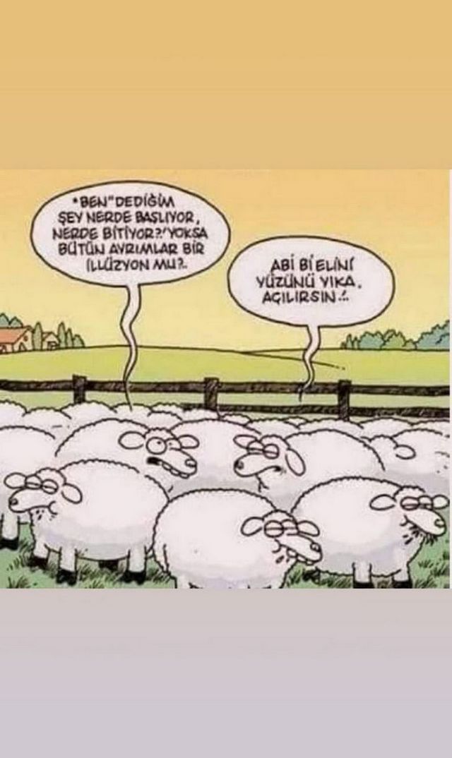 Karikatur001124