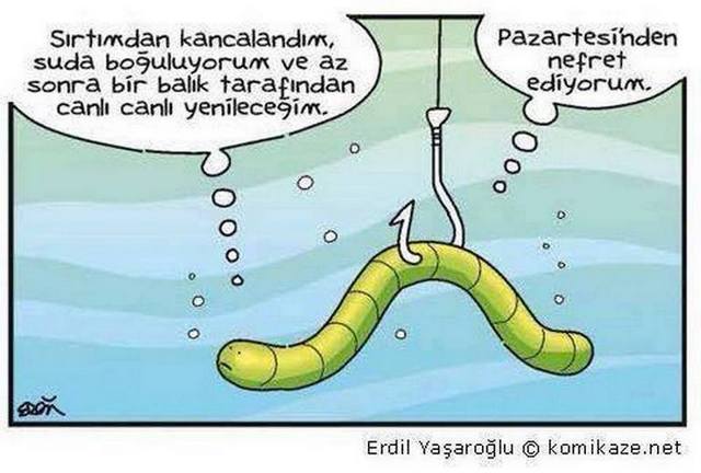 Karikatur001676