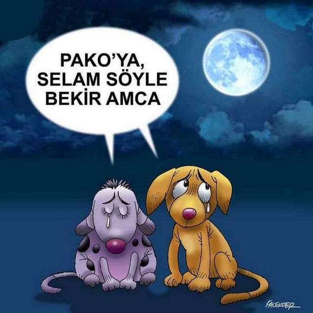 Karikatur001785