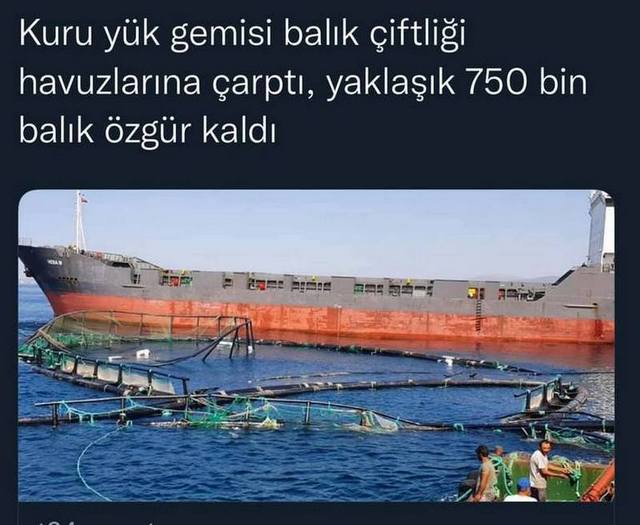 Karikatur002115