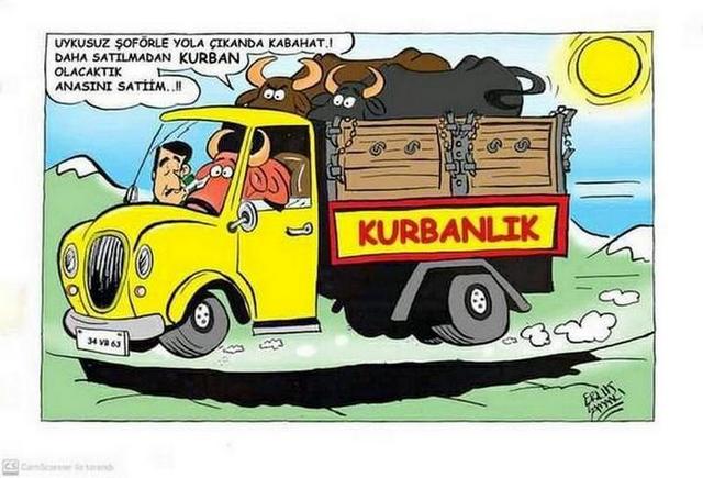 Karikatur002179