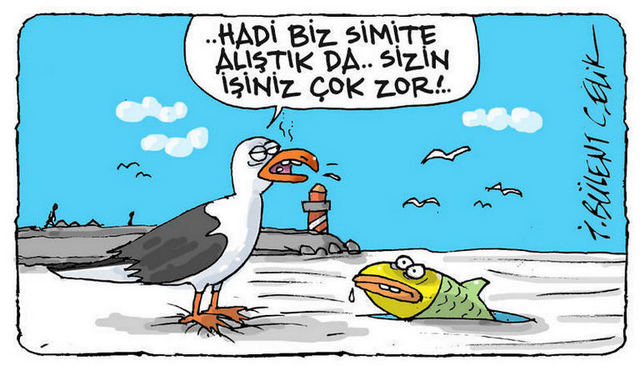 Karikatur002231