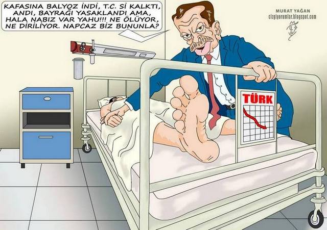 Karikatur002393