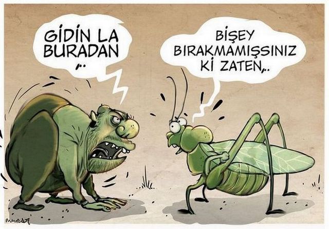 Karikatur002444