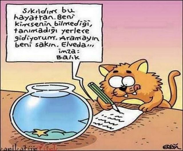 Karikatur002446