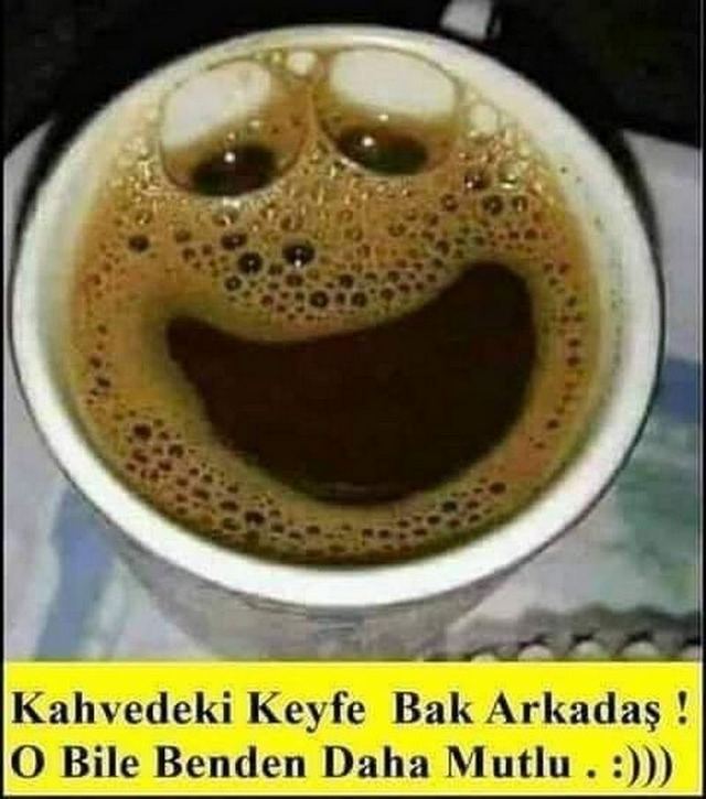 Karikatur002491
