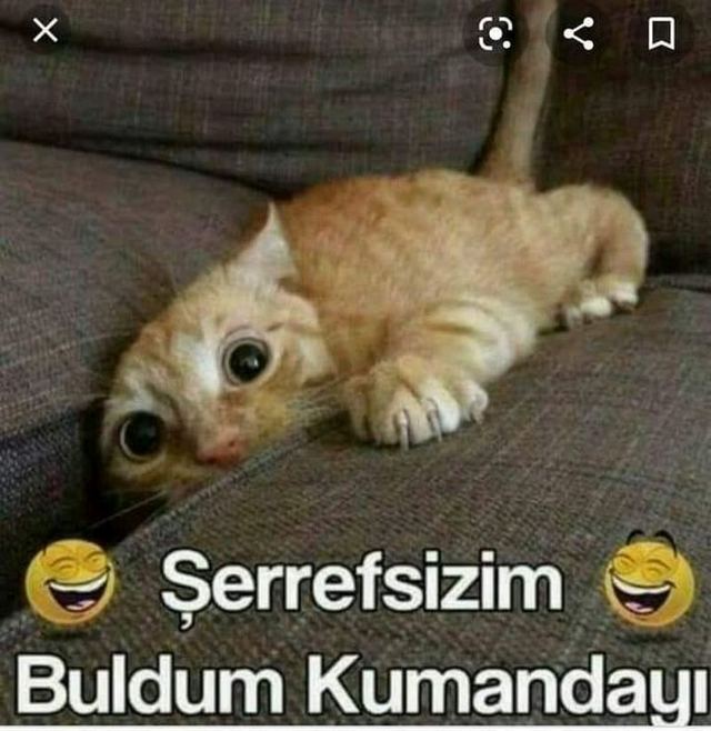 Karikatur002603