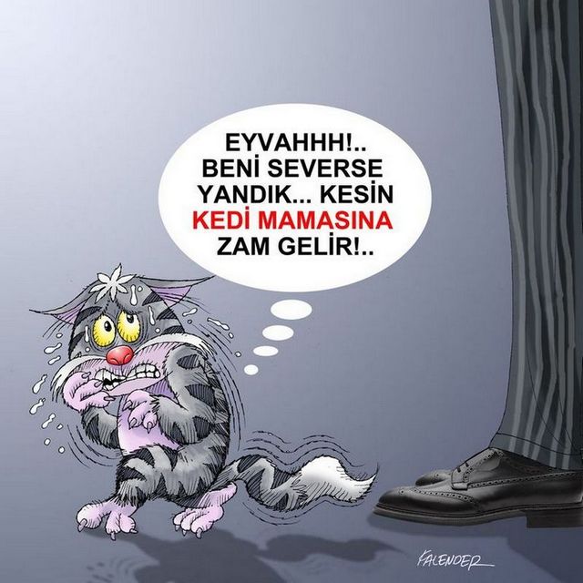 Karikatur002612