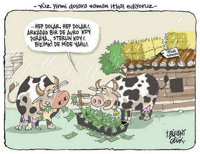Karikatur002632