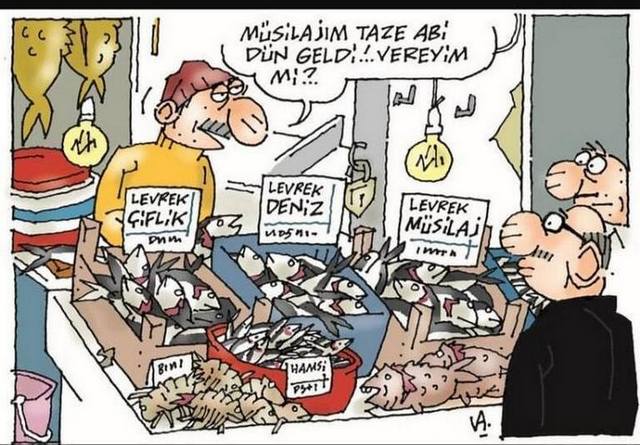 Karikatur002735
