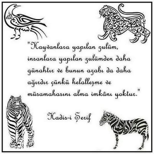 Karikatur002745