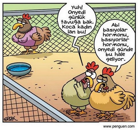 Karikatur002810
