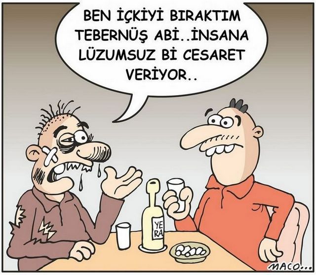 Karikatur002879