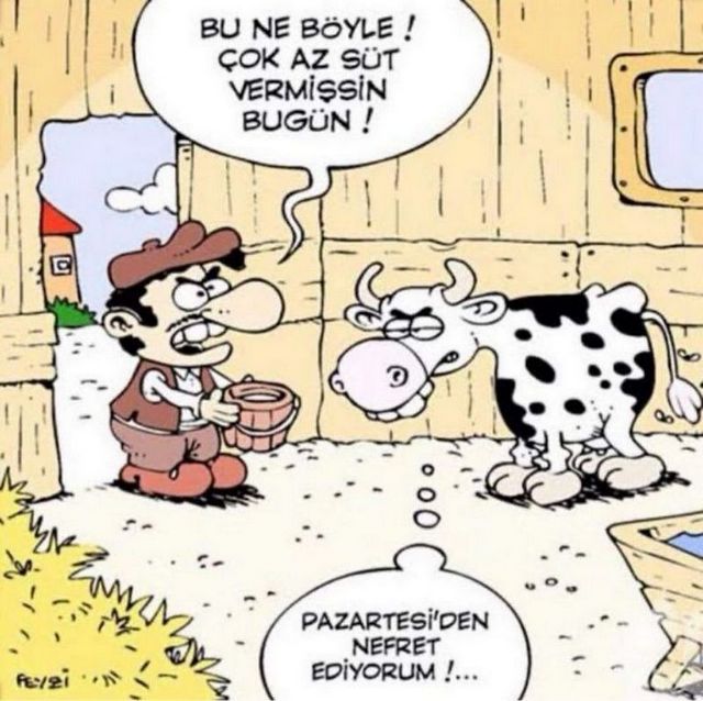 Karikatur002941