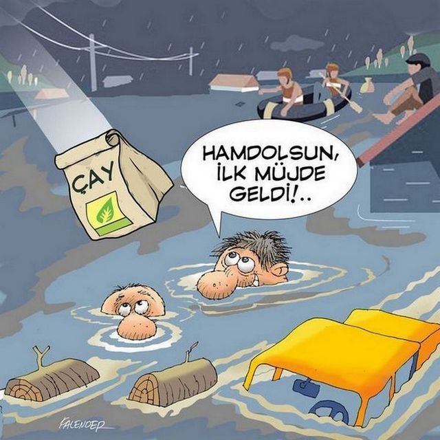 Karikatur002951