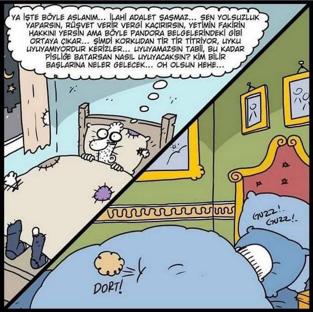 Karikatur003149