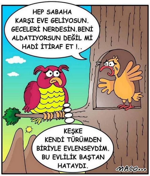 Karikatur003292