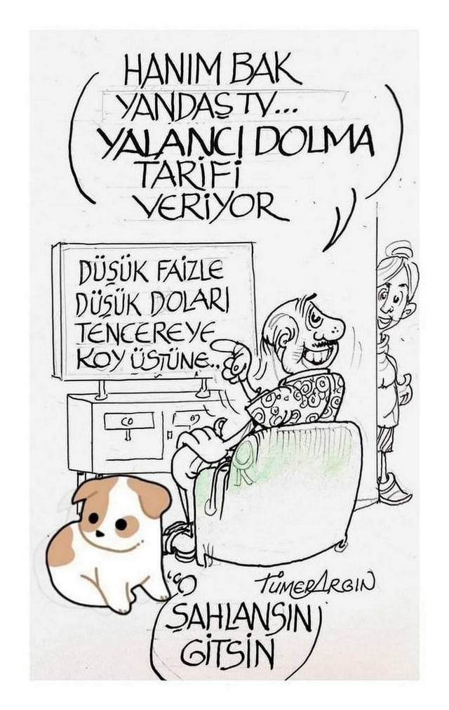Karikatur003511