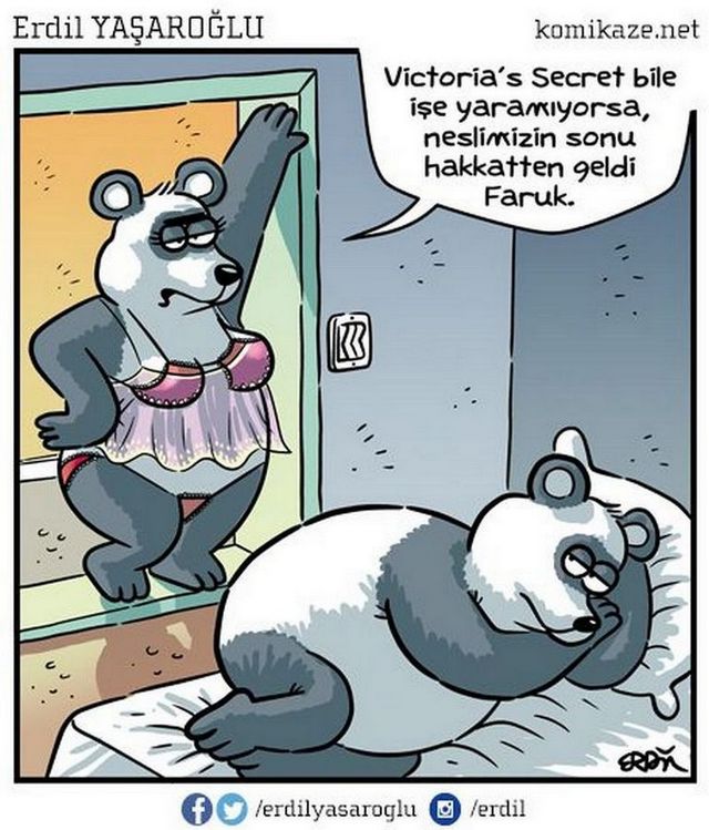 Karikatur003517