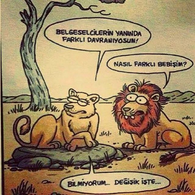 Karikatur003789