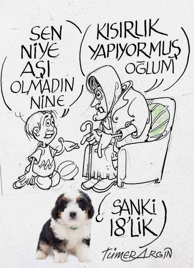 Karikatur004153