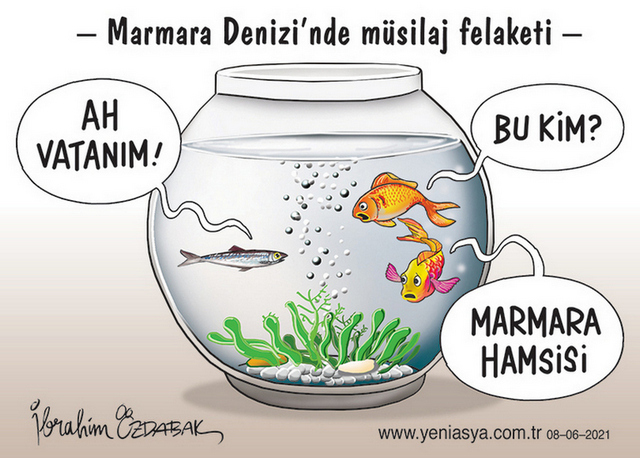 Karikatur004357
