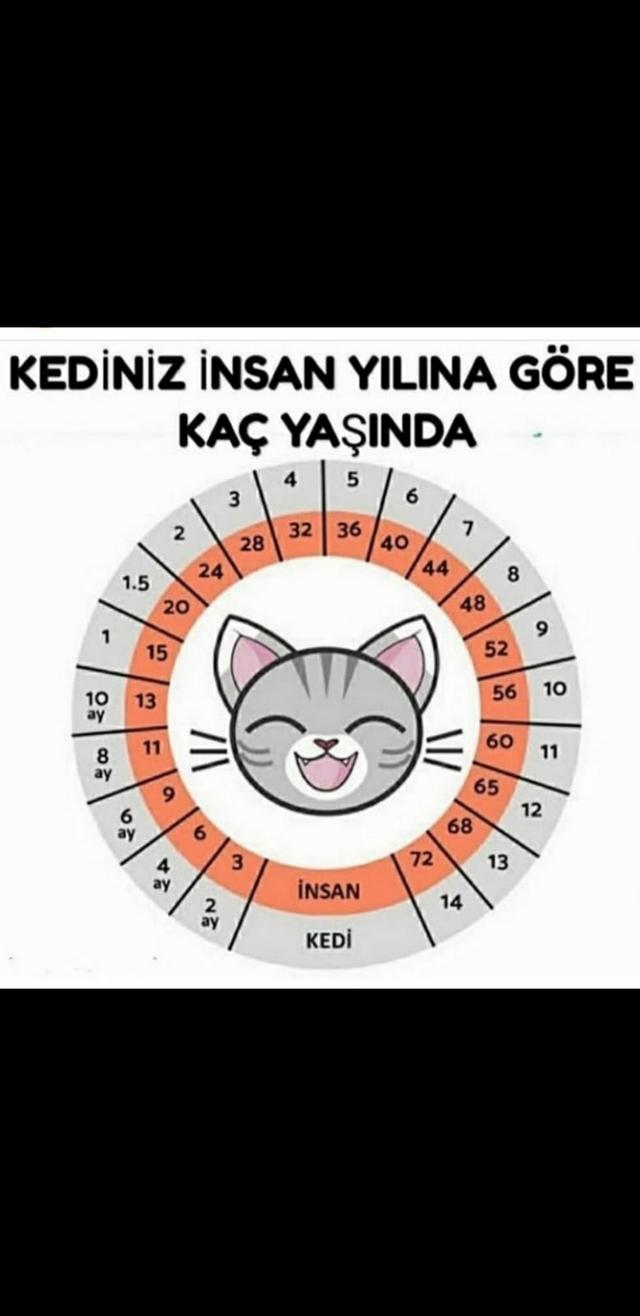 Karikatur004962