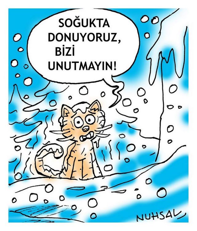 Karikatur005166
