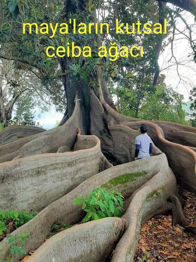 Karikatur005223