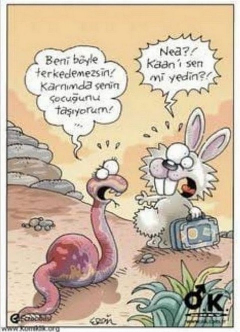 Karikatur005300