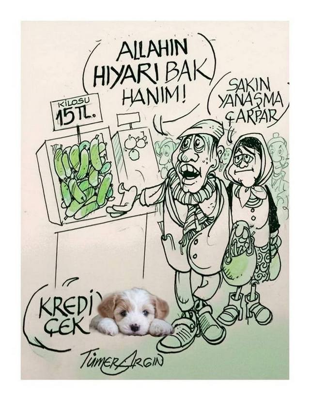 Karikatur005716