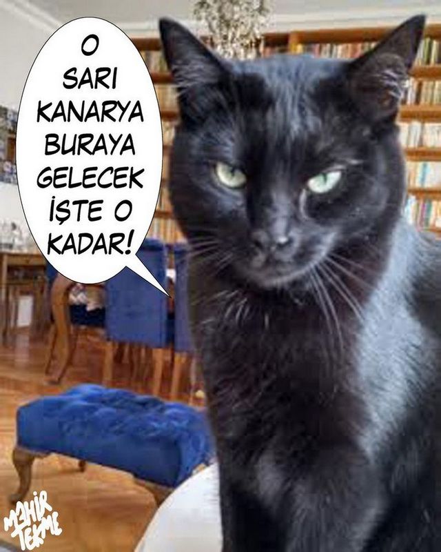 Karikatur005719