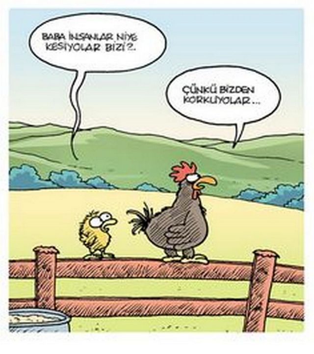 Karikatur005975
