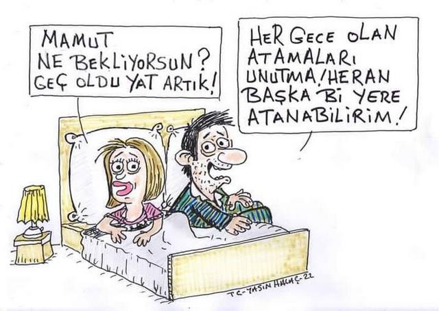 Karikatur006213