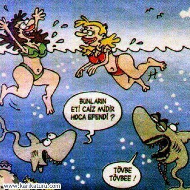 Karikatur006420