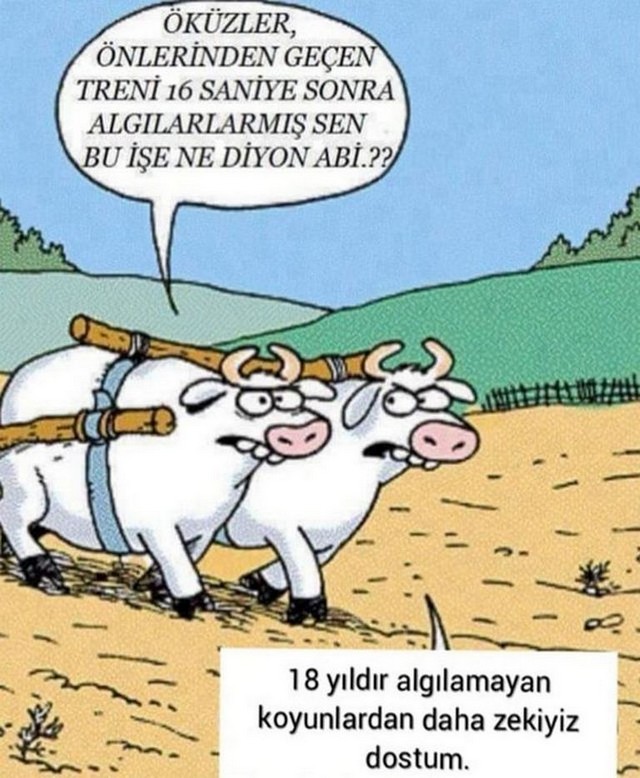 Karikatur006608