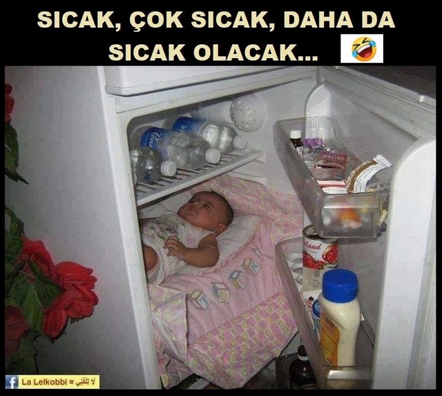 Karikatur006719