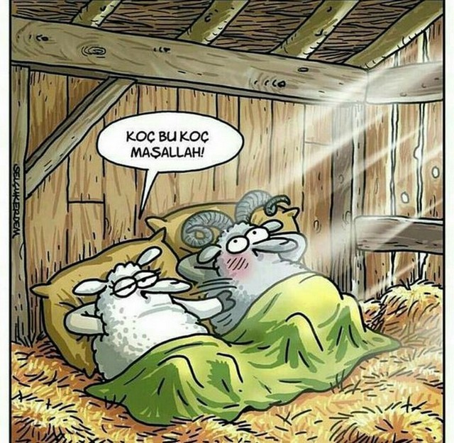 Karikatur006730
