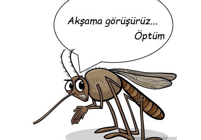 Karikatur007025