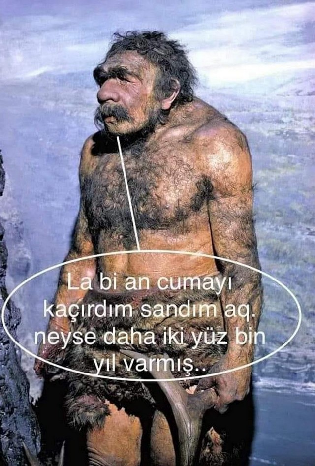 Karikatur007075